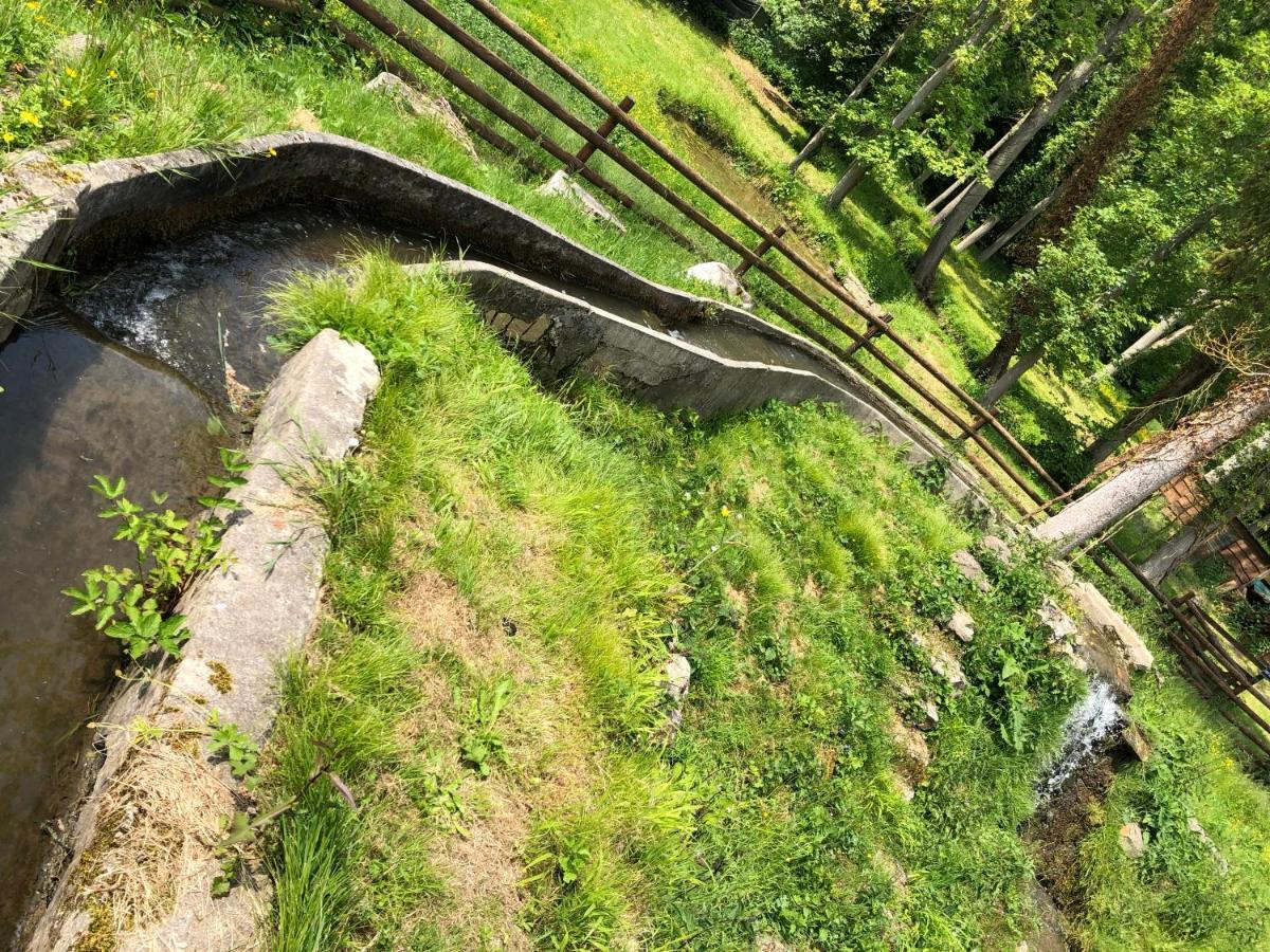 Domaine Du Plessis Bed & Breakfast Le Plessis-Luzarches Ngoại thất bức ảnh